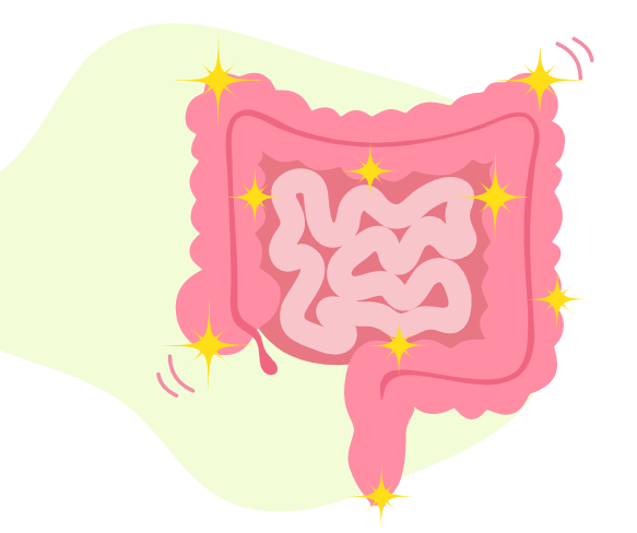 Ilustração de um intestino brilhando.
